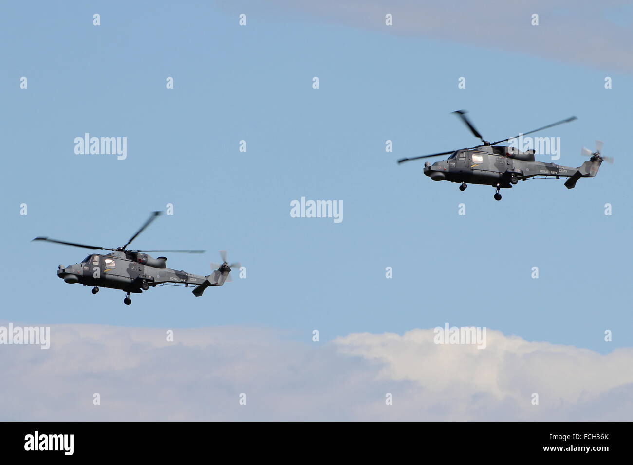 La Royal Navy elicottero team display, il Black Cats, effettuando in corrispondenza della Scozia Airshow nazionali ad est di fortuna. Foto Stock