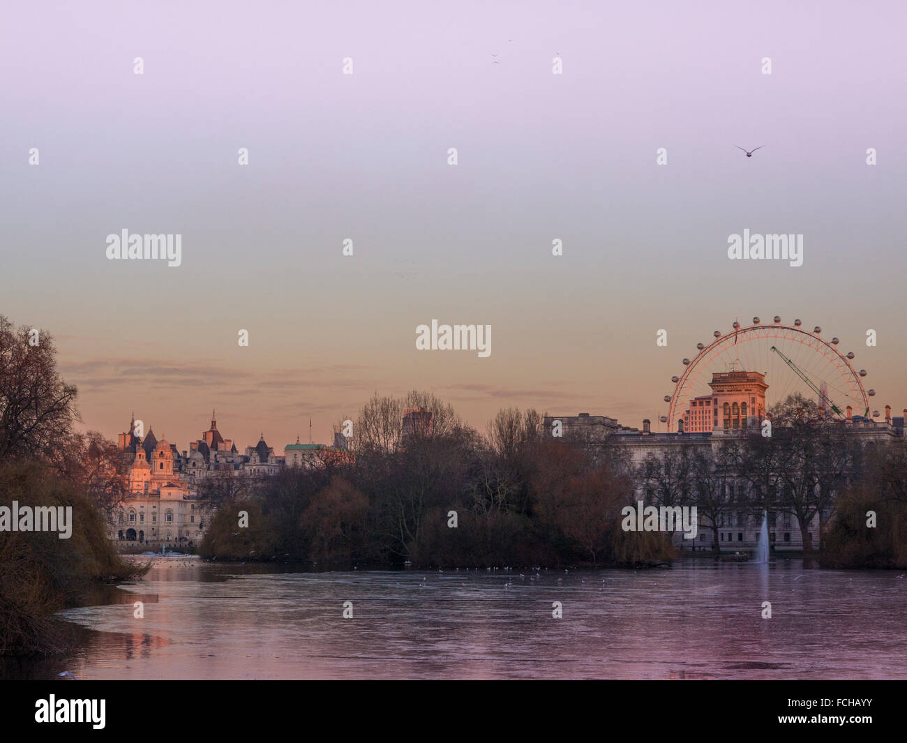 Una rosa al tramonto a St James Park verso Horseguard's Parade e il London Eye Foto Stock