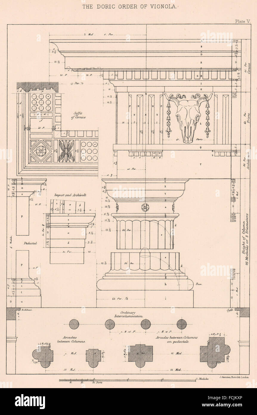 Architettura classica: ordine dorico di Vignola, antica stampa 1902 Foto Stock