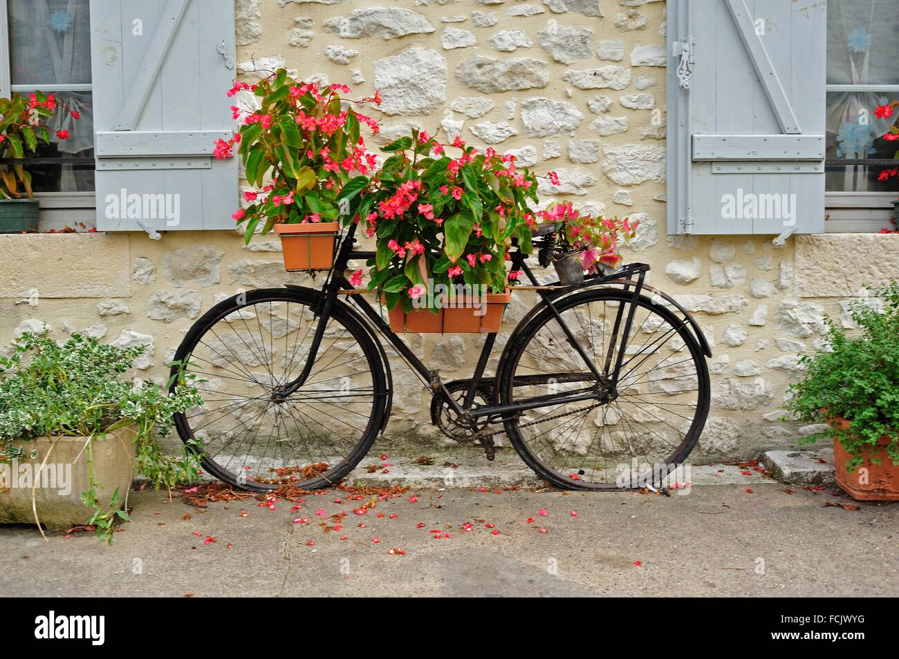 Vecchia bicicletta usata come fioriera immagini e fotografie stock ad alta  risoluzione - Alamy