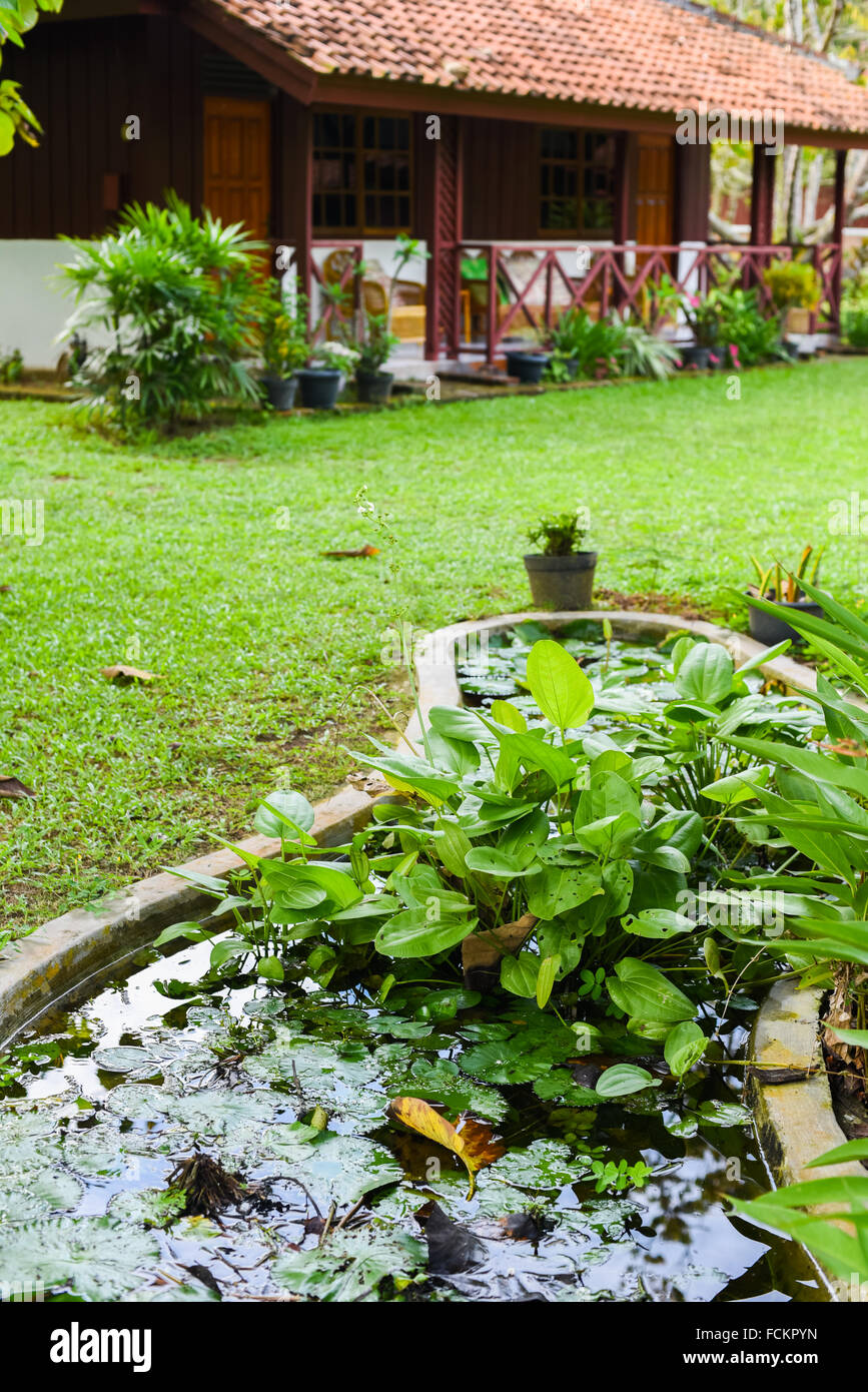 Giardino tropicale fuori alloggiamento in legno a Sumatra, Indonesia. Foto Stock