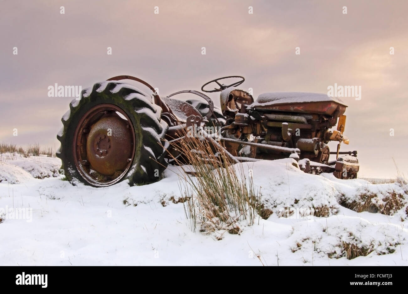Arrugginimento resti di un trattore Ferguson sulla sommità del sud pennines, colden, West Yorkshire Foto Stock
