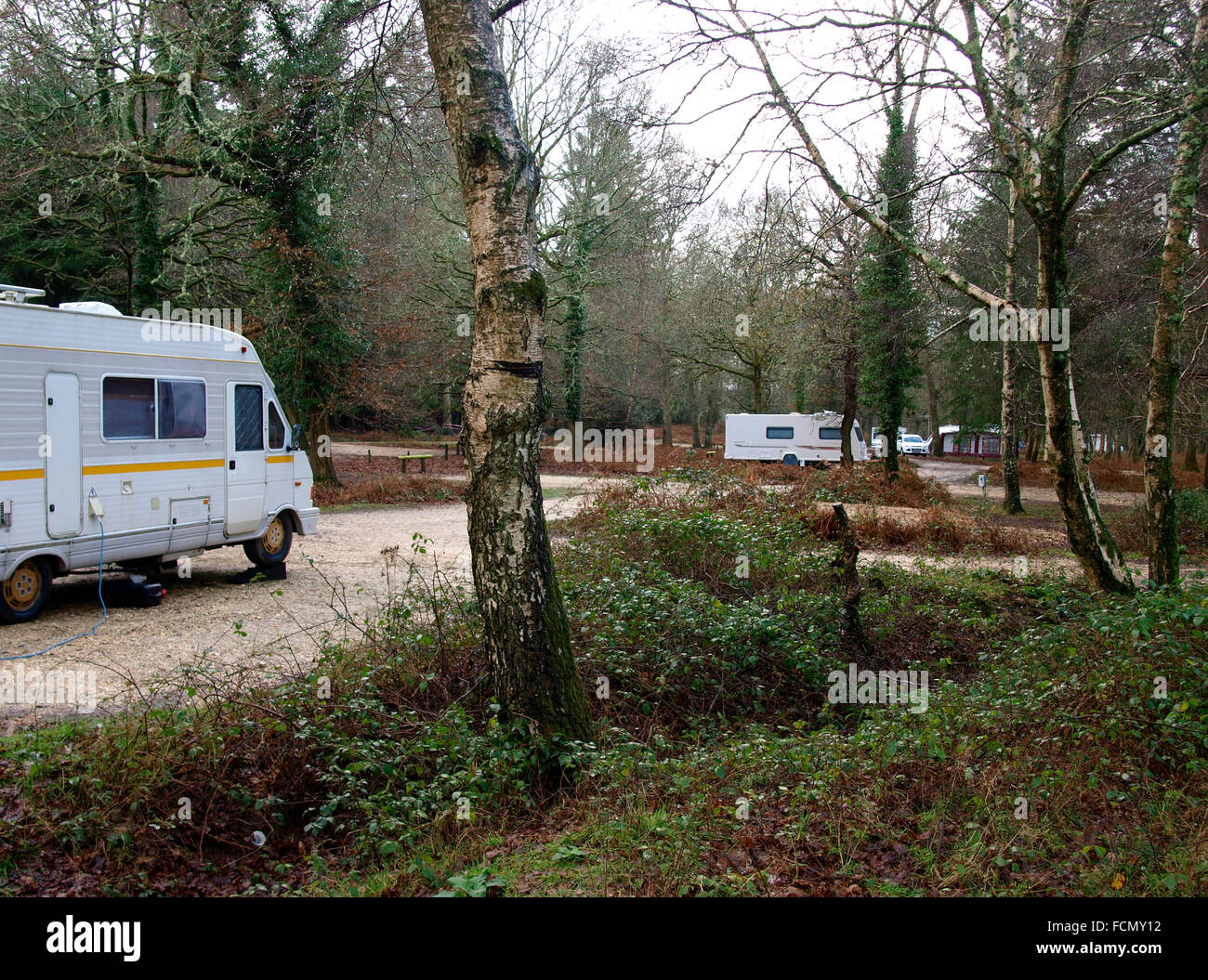 Setthorns campeggio Camping nella foresta, New Forest, Hampshire, Regno Unito Foto Stock