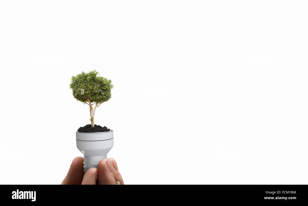 Stretta di mano azienda lampadina con albero interno Foto Stock