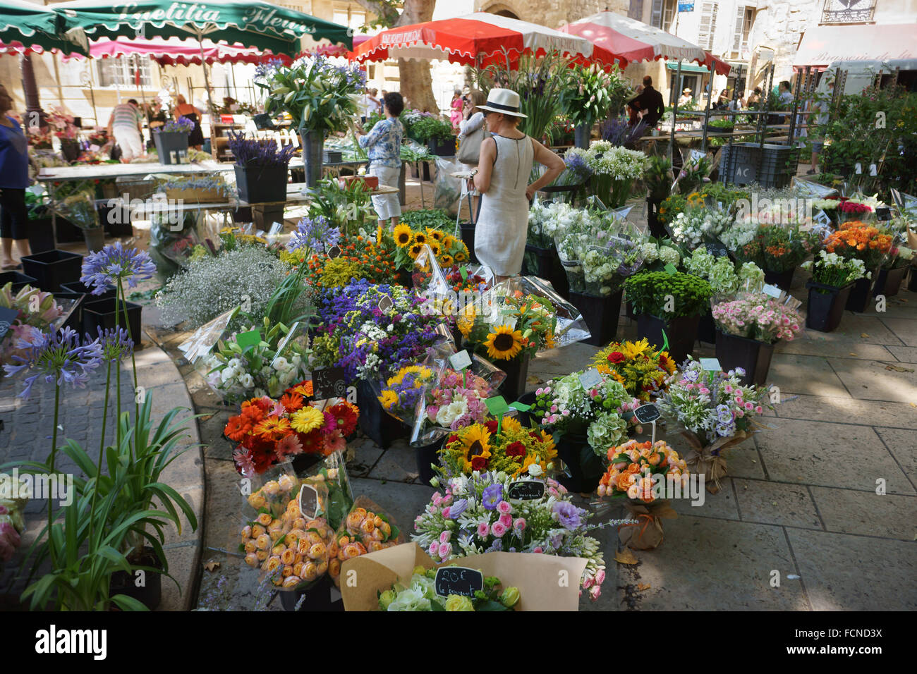 Il mercato dei fiori in Aix-en-Provence, Francia Foto Stock