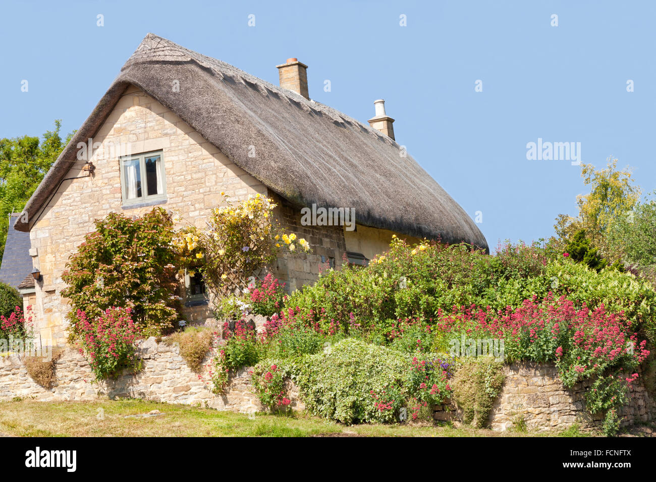 Tradizionale tetto in paglia stone Cotswold cottage casa vacanze con rose sulla parete e fiori nel giardino estivo Foto Stock