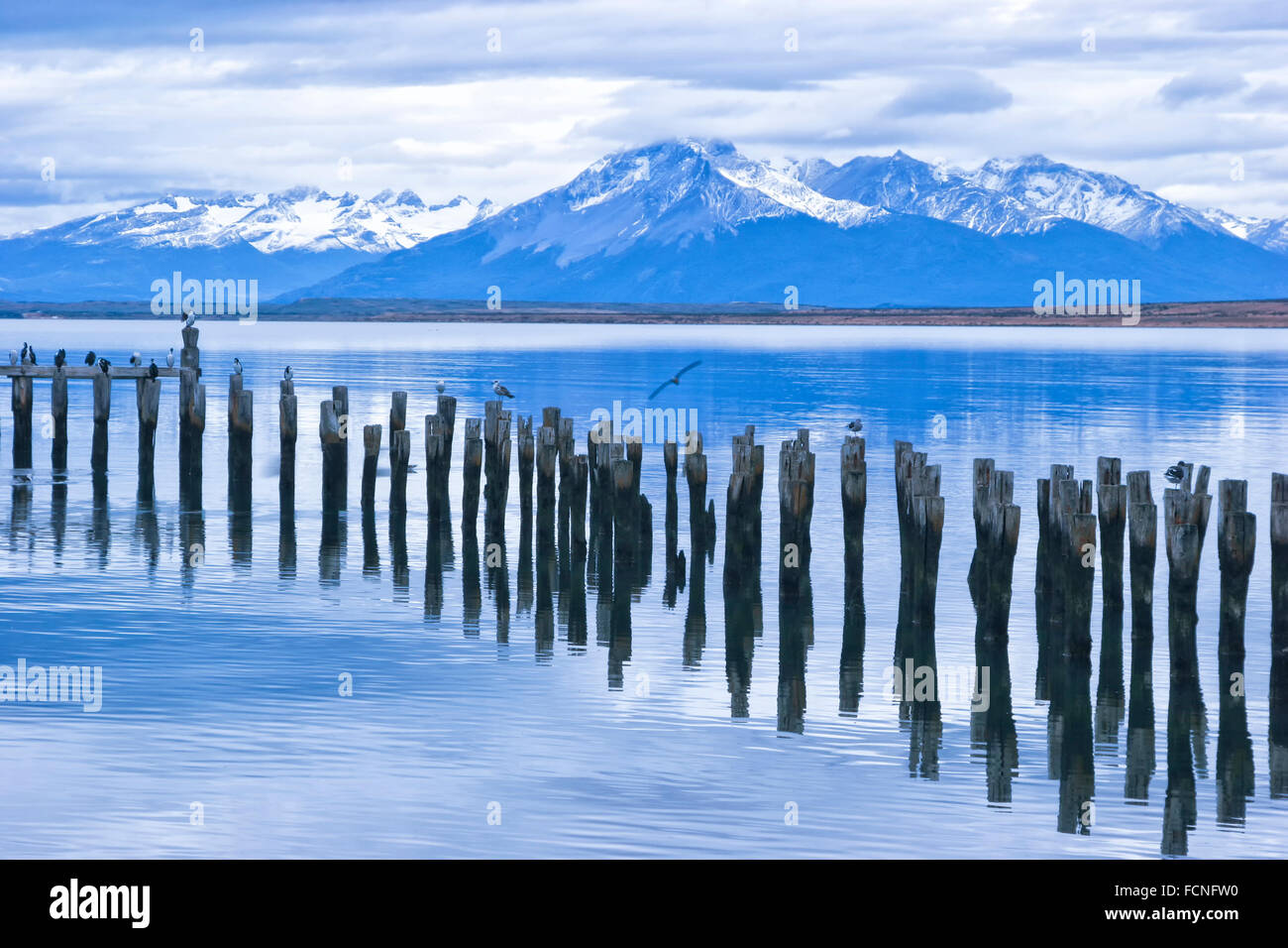 Danneggiato il lago in legno pier con singoli poli occupata con uccelli di mare, vette innevate delle Ande Patagonia Cile America del Sud Patagonia Foto Stock