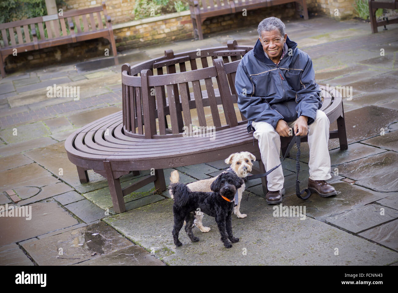 Il vecchio uomo seduto su un banco di lavoro con i suoi cani Foto Stock