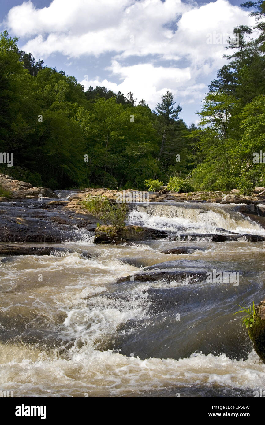 Whitewater cade giù fuori delle montagne Amicalola Creek in North Georgia, Stati Uniti d'America. Foto Stock