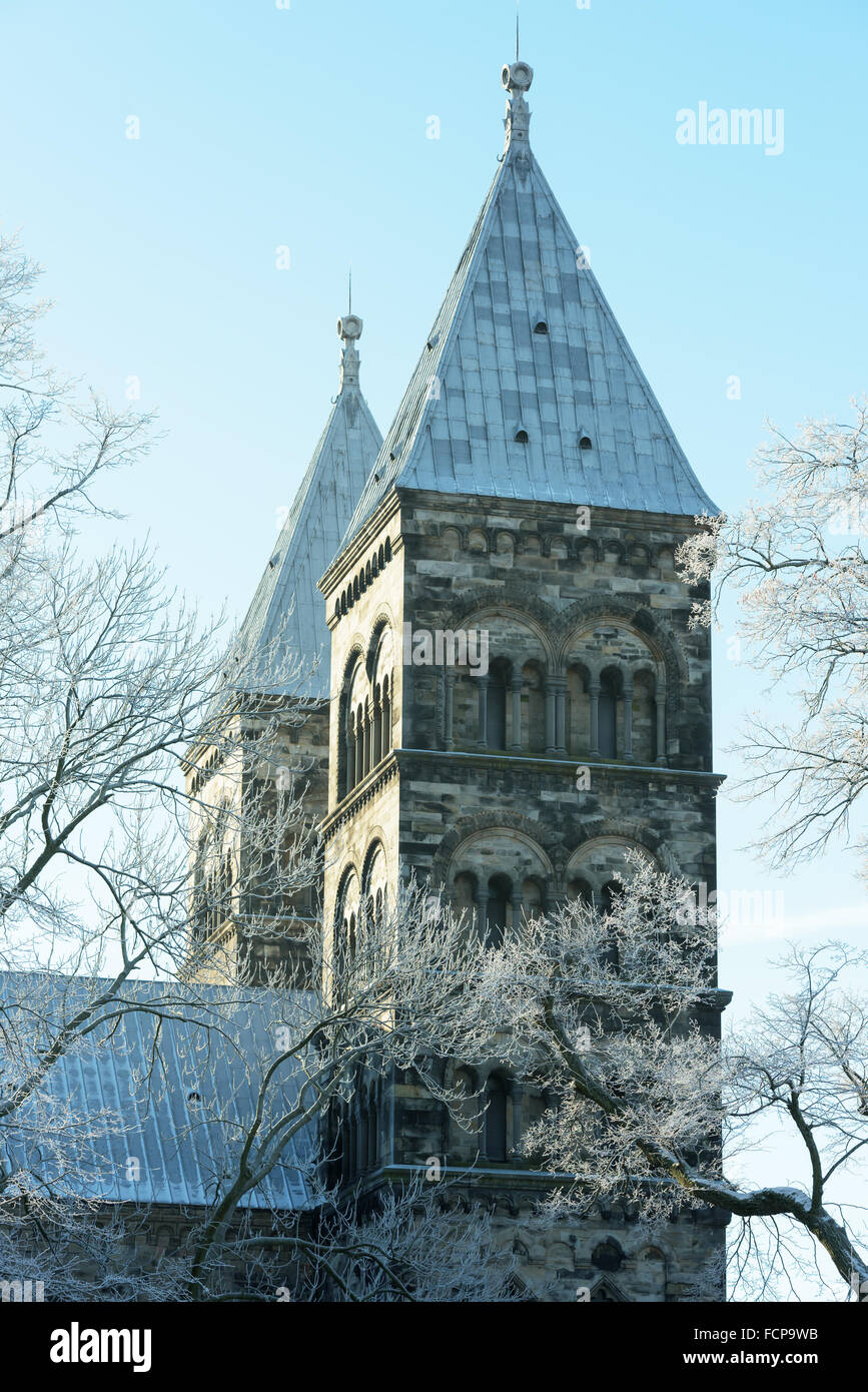 Lund, Svezia - 21 Gennaio 2016: le torri della cattedrale di Lund incorniciato da frosty alberi e cielo blu. La chiesa fu fondata nel 108 Foto Stock