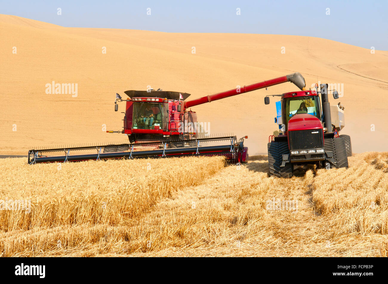 Una mietitrebbia sgrava il grano per un carrello per granella durante il raccolto nella regione di Palouse di Washington Foto Stock