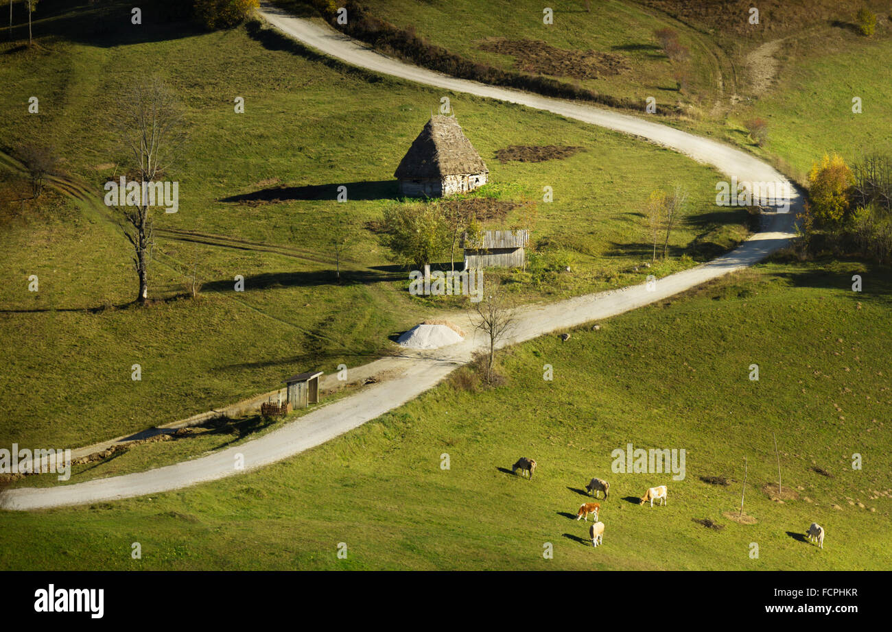 Capanna tradizionale nei Carpazi con un cruve-strada sagomato, Romania Foto Stock