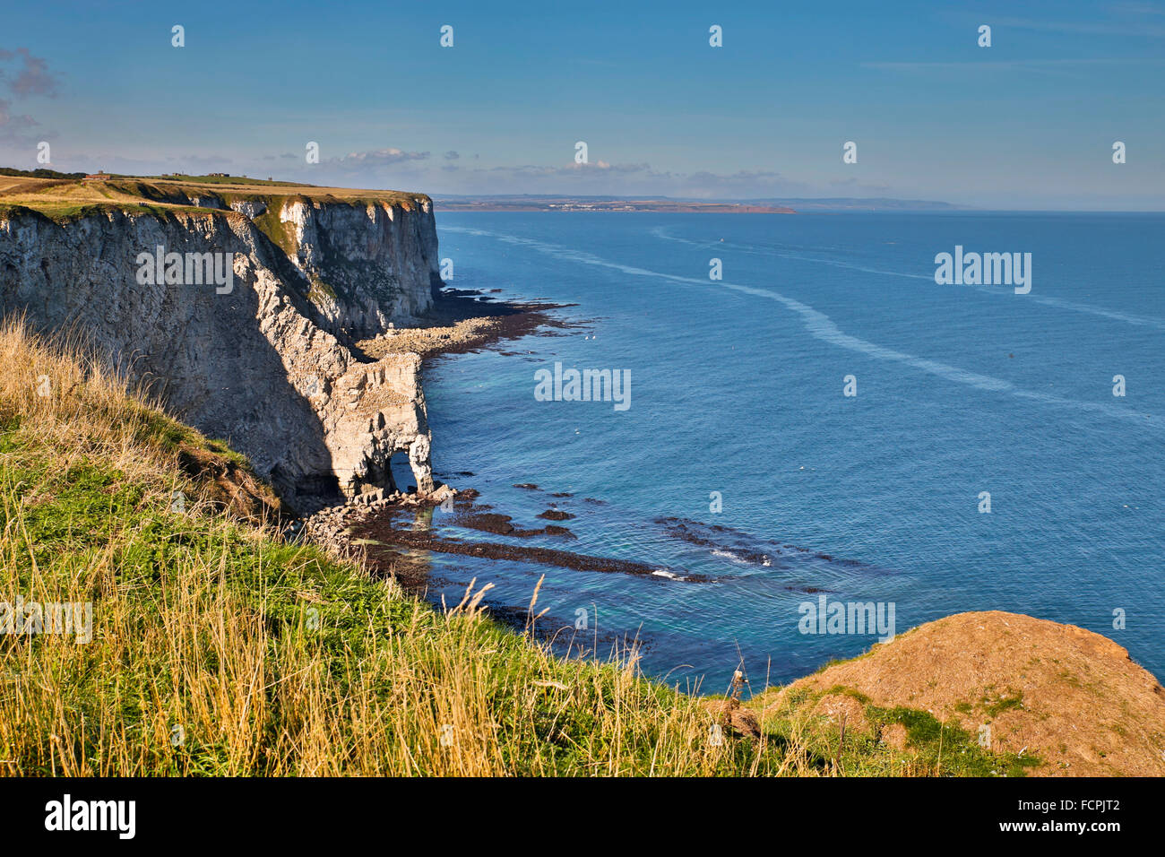 Bempton Cliffs; Chalk Cliff; Riva e Arco Yorkshire; Regno Unito Foto Stock