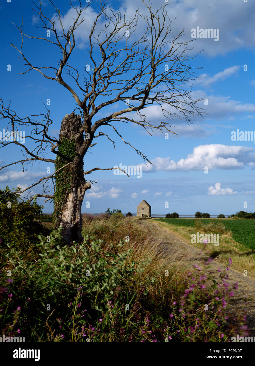 Cerca e lungo la strada romana di Othona fort & St Peter's 7th-secolo cappella, Bradwell-su-Mare, costruita di riutilizzare materiali romano sulla fort's gate W. Foto Stock