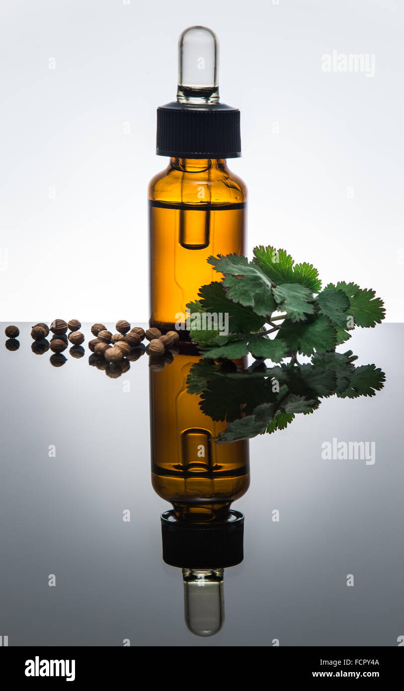 Coriandolo olio essenziale nel flacone color ambra con semi di coriandolo, foglie di coriandolo e dropper Foto Stock