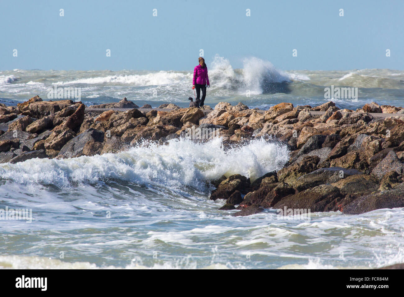 Donna cane a camminare con il Golfo del Messico tempesta le onde a Molo Sud in Florida Venezia Foto Stock