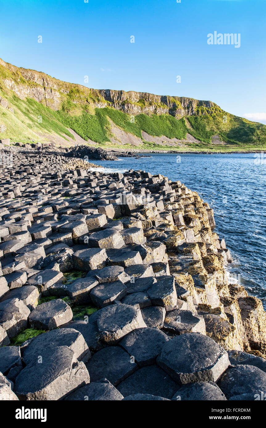 Giants Causeway, unica formazione geologica delle rocce e dirupi nella contea di Antrim, Irlanda del Nord, nella luce del tramonto Foto Stock