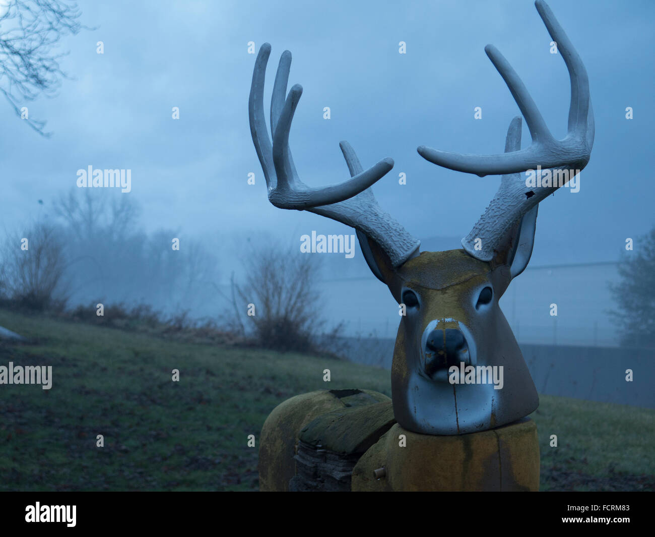 Un cervo pratica supporti bersaglio in una nebbia invernale nelle zone rurali del Massachusetts. Foto Stock