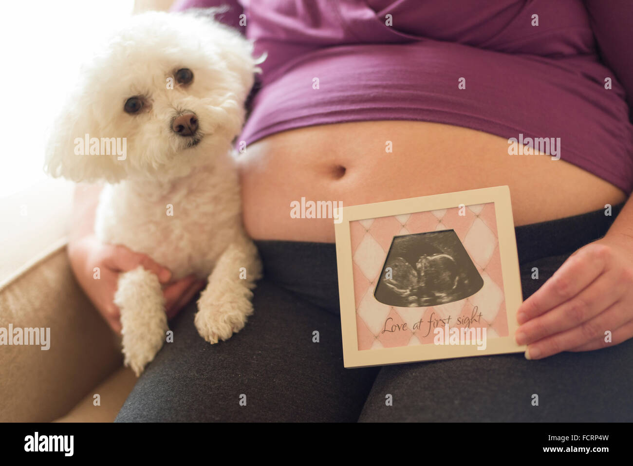 Donna incinta con bambino pancia ultrasuoni di contenimento Foto Stock