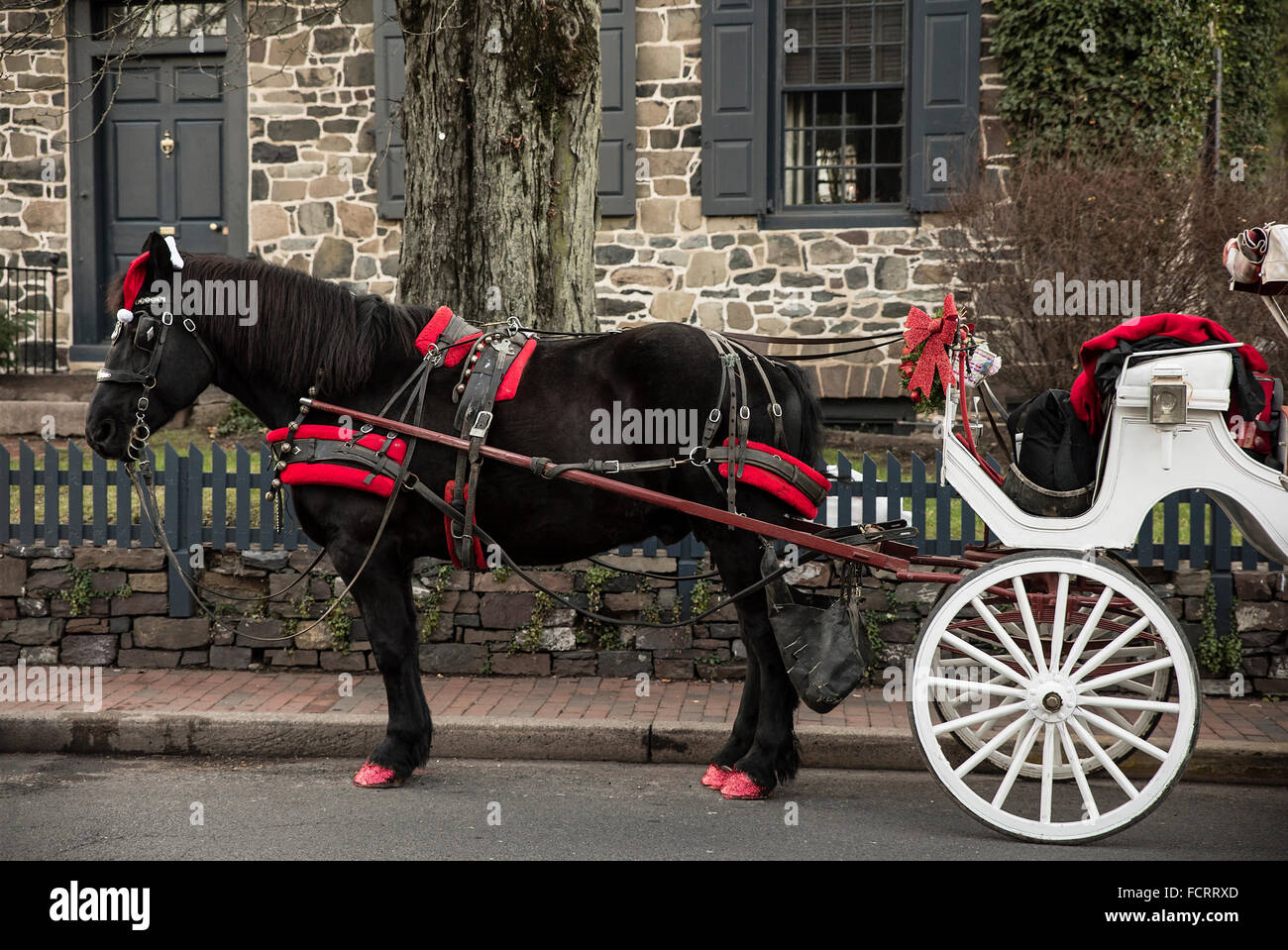 Holiday cavallo e gite in carrozza, nuova speranza, Pennsylvania, STATI UNITI D'AMERICA Foto Stock