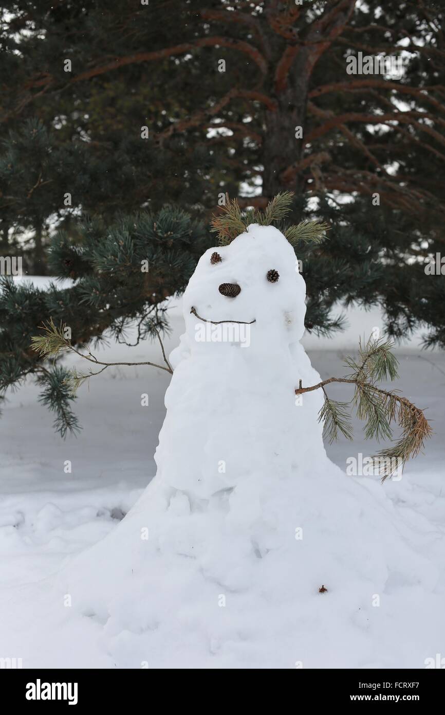 Un pupazzo di neve adornata con pigne e bastoni. Foto Stock