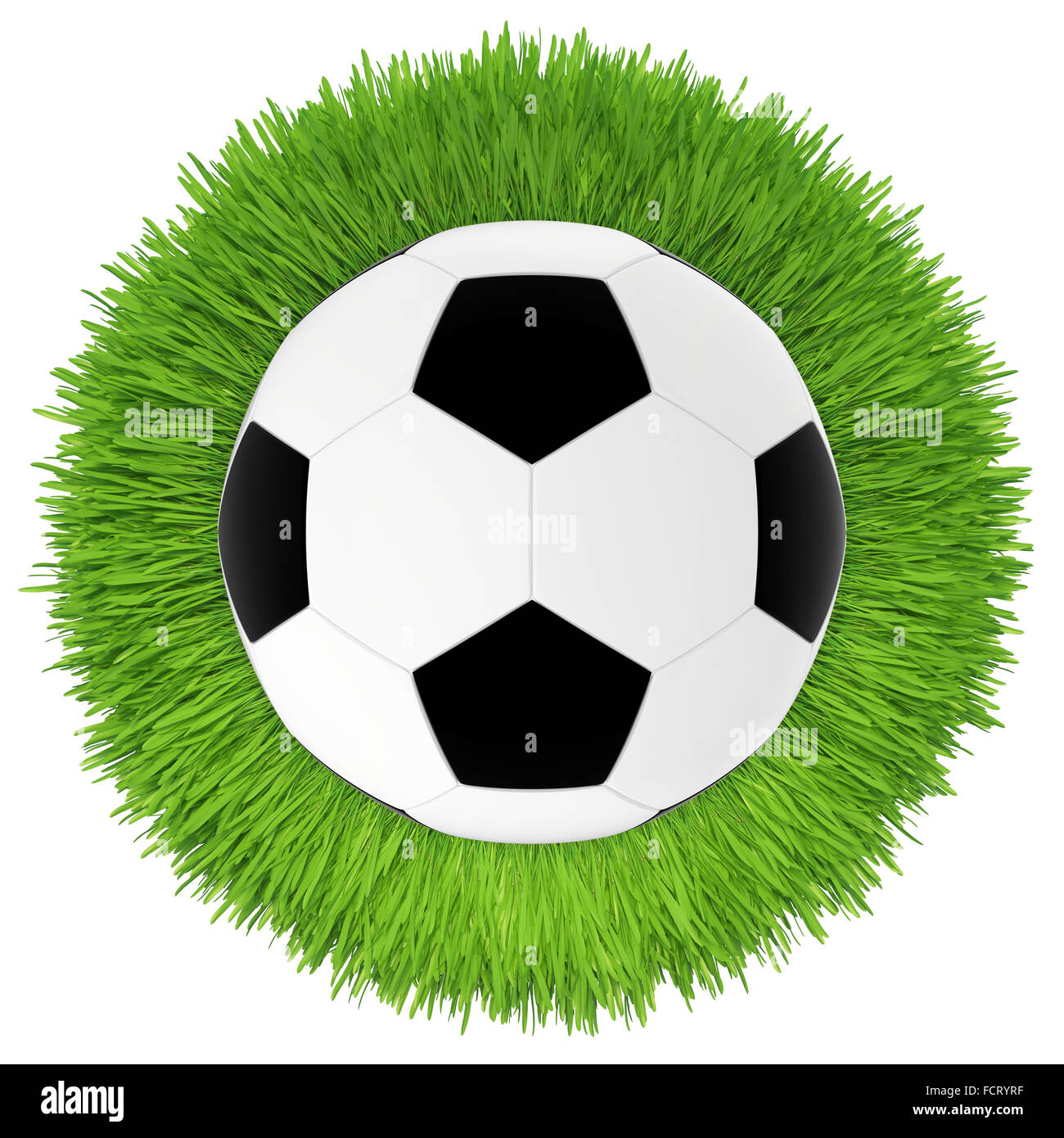 Pallone da calcio in erba verde prato Foto Stock
