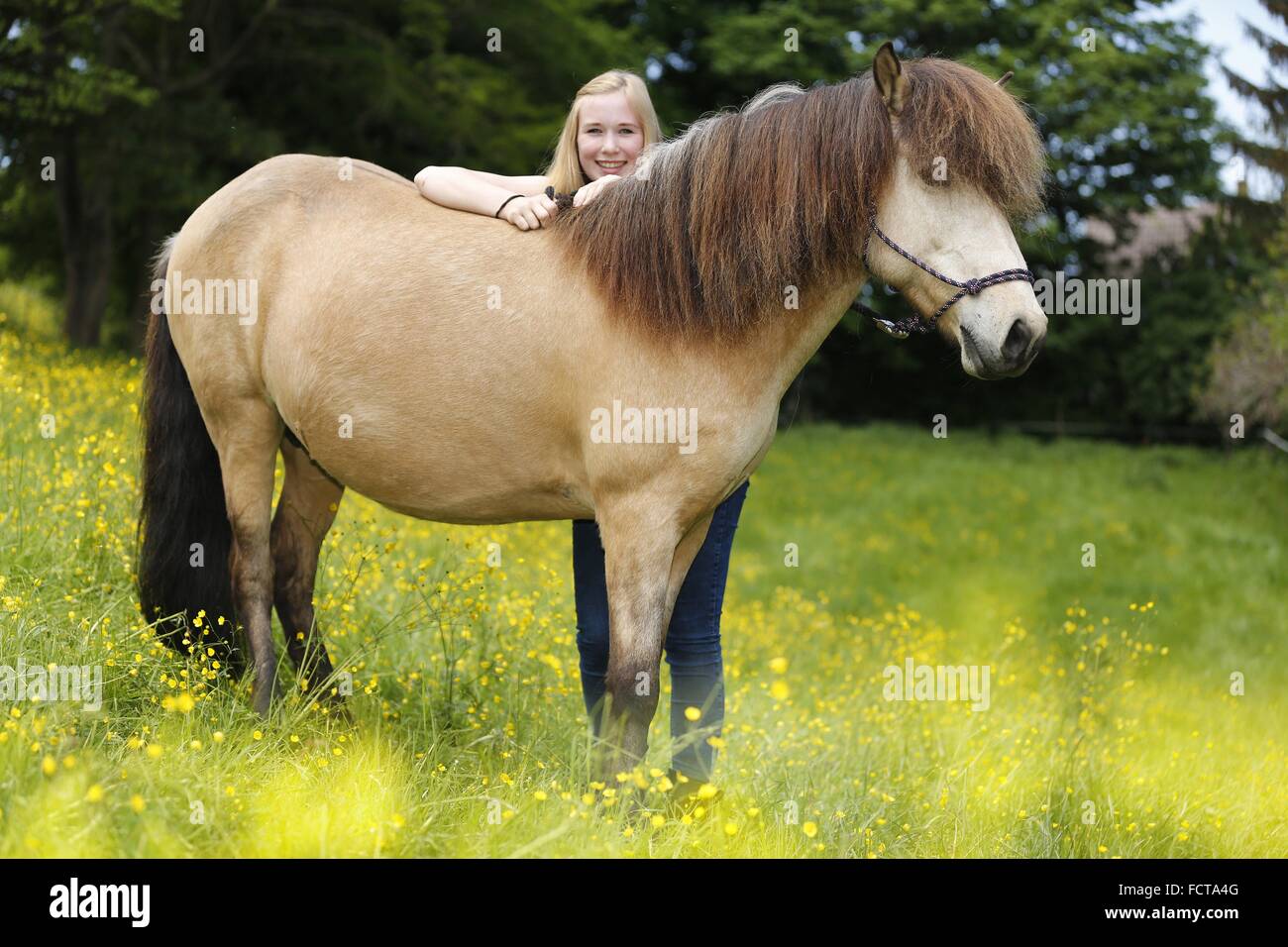 Donna e cavallo islandese Foto Stock