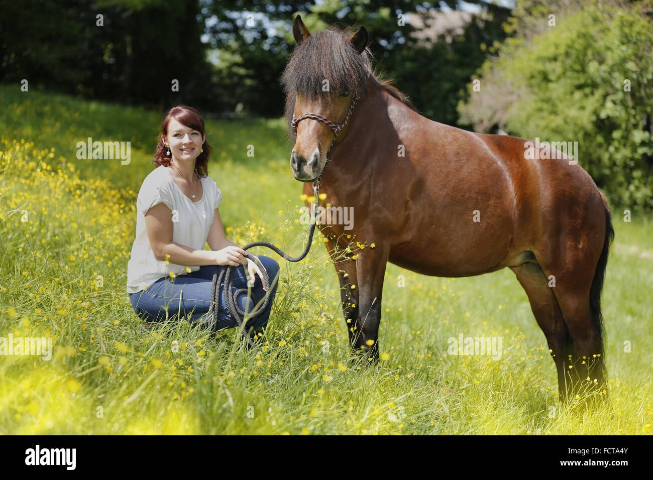 Donna con cavallo islandese Foto Stock