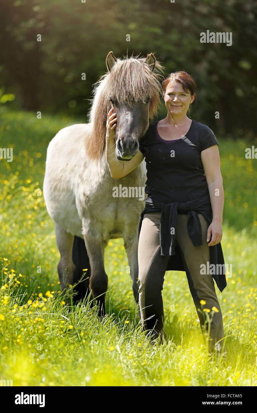 Donna e cavallo islandese Foto Stock