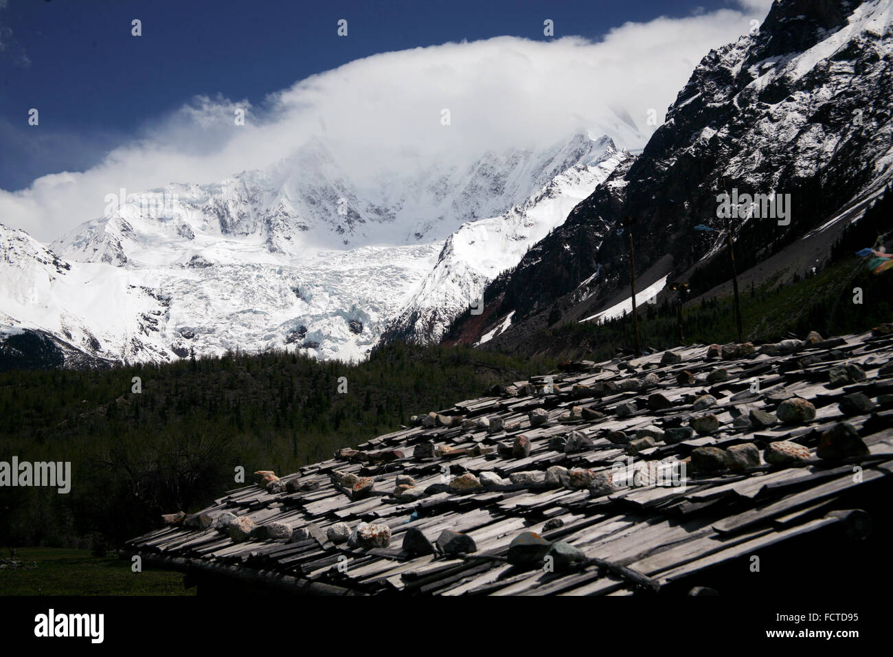 ghiacciaio Foto Stock