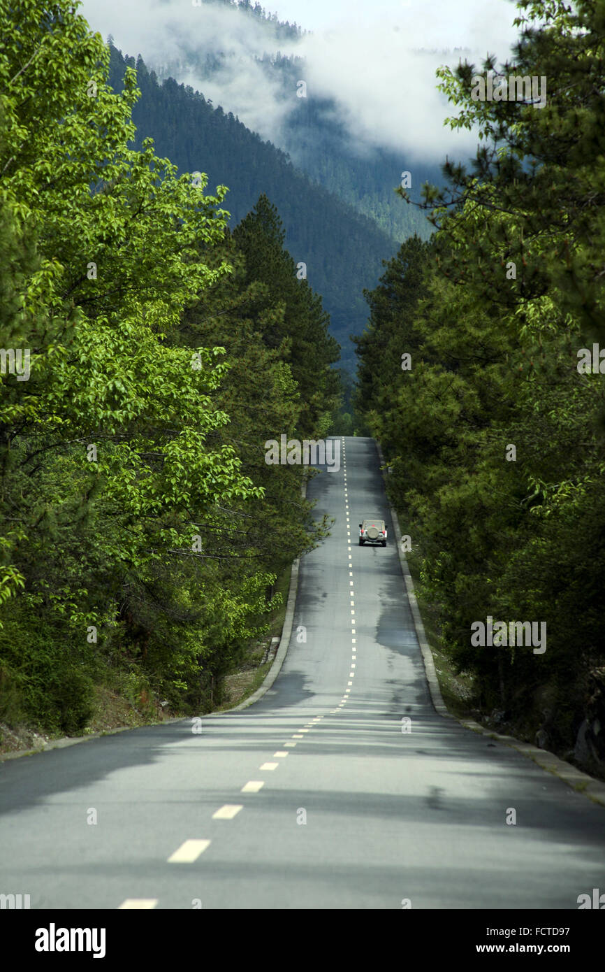 ghiacciaio Foto Stock