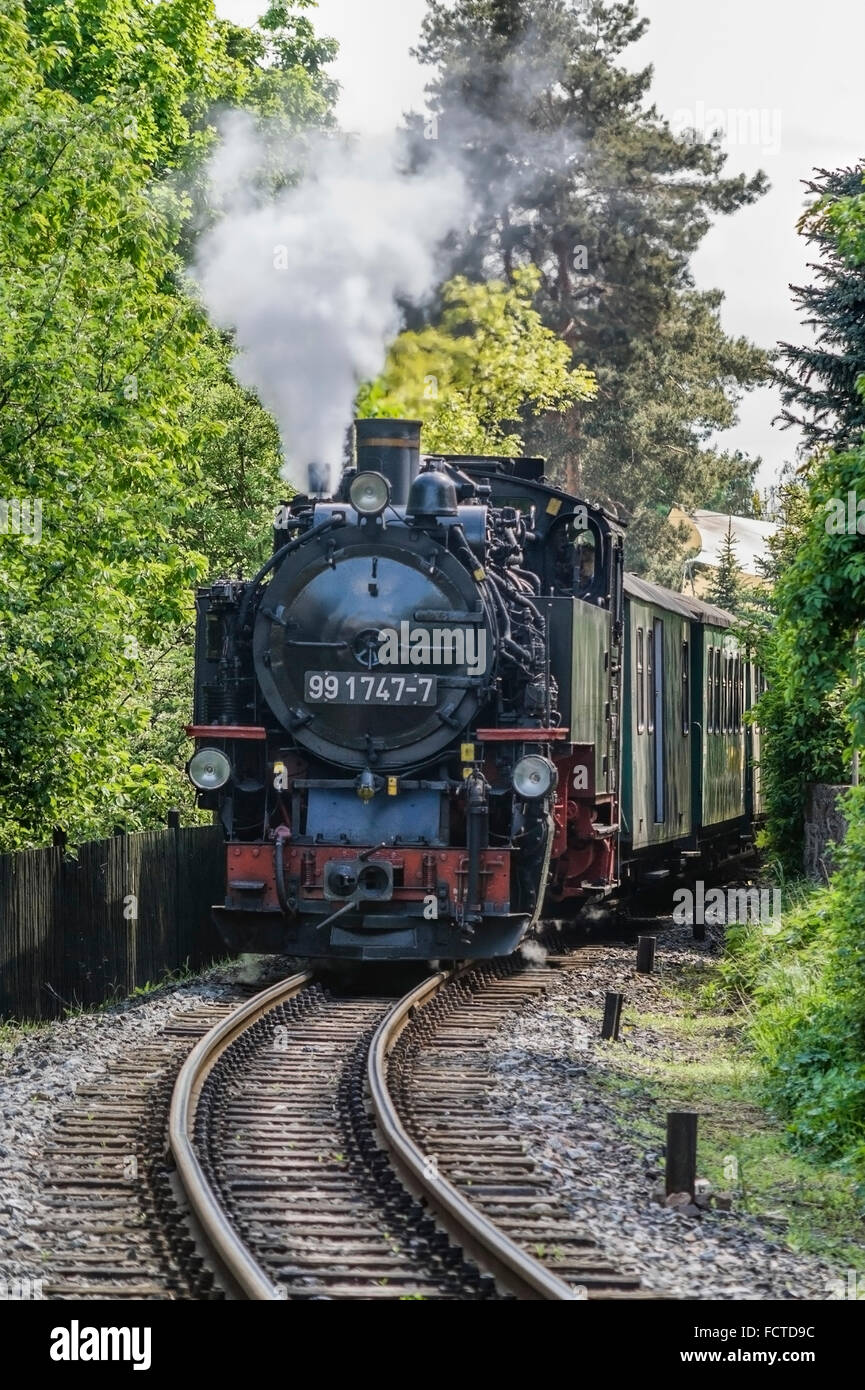 Treno storico a vapore da Radebeul a Moritzburg vicino Dresda, Germania Foto Stock
