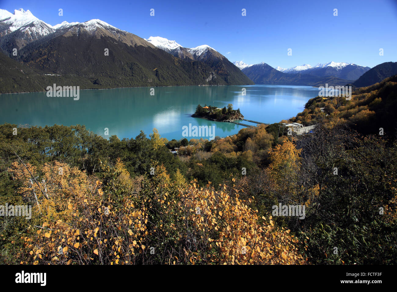 La Contea di gongbujiangda Basongco Foto Stock
