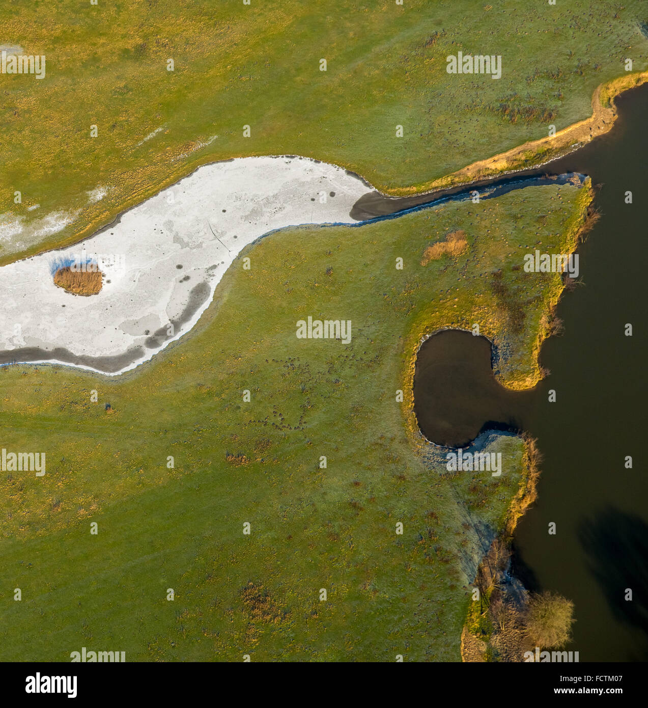 Vista aerea, Lippe-Auen con tributario nevoso, lago, Pont, Lippe meandro del restauro, Progetto Life labbro, prato umido, Hamm, Foto Stock