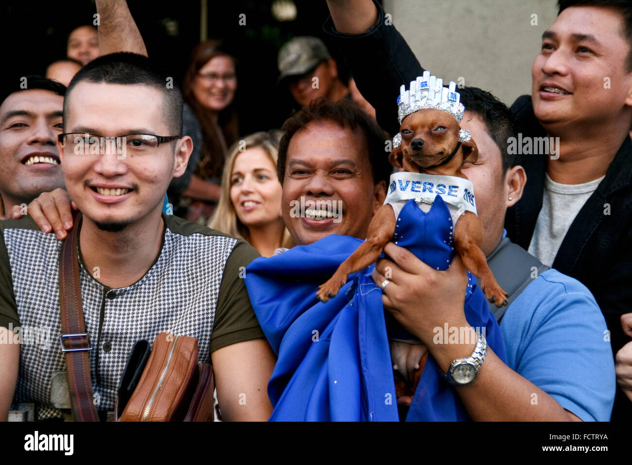 Filippine. 25 gennaio, 2016. Chloe, un bambino di 3 anni Mini Pinscher, è vestito in una vestaglia e corona simile a Pia Wurtzbach mentre la folla attende a Makati, Manila. Miss Universo 2015 Pia Alonzo Wurtzbach, condurre una sfilata lungo le principali strade di Manila durante il ritorno alle Filippine. © J Gerard Seguia/ZUMA filo/Alamy Live News Foto Stock