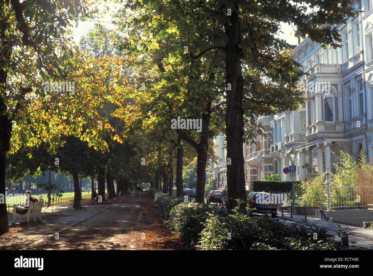 DEU, Germania, Bonn, case a Poppelsdorf Avenue. DEU, Deutschland, Bonn, Haeuser an der Poppelsdorfer Allee. Foto Stock