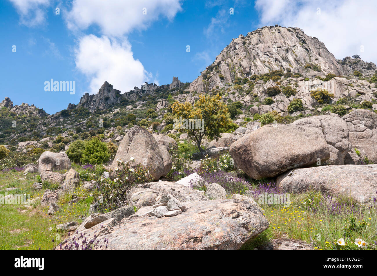 Viste del Pico de la Miel (Miele di picco). Si tratta di un granito batholith situato a Sierra de la Cabrera, Madrid, Spagna Foto Stock