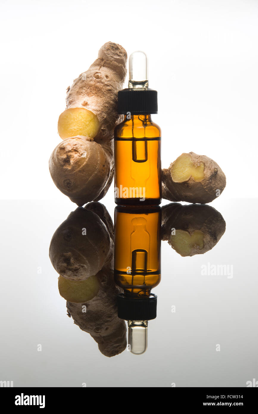 Lo zenzero olio essenziale nel flacone color ambra con zenzero fresco e dropper Foto Stock