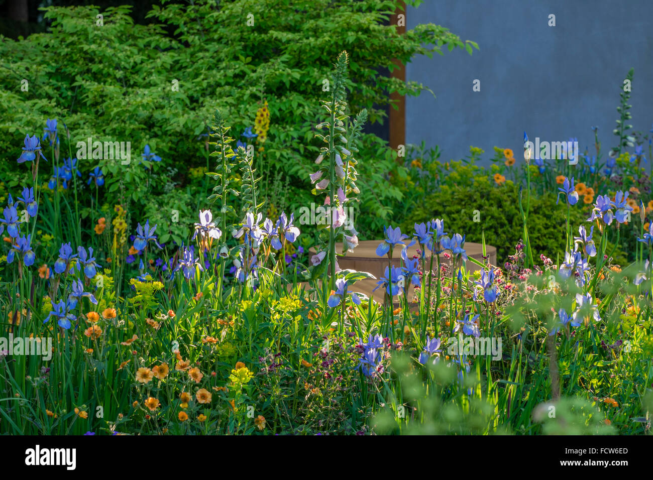 Il giardino Homebase rifugio urbano progettato da Adam Frost. RHS Chelsea Flower Show 2015. Foto Stock