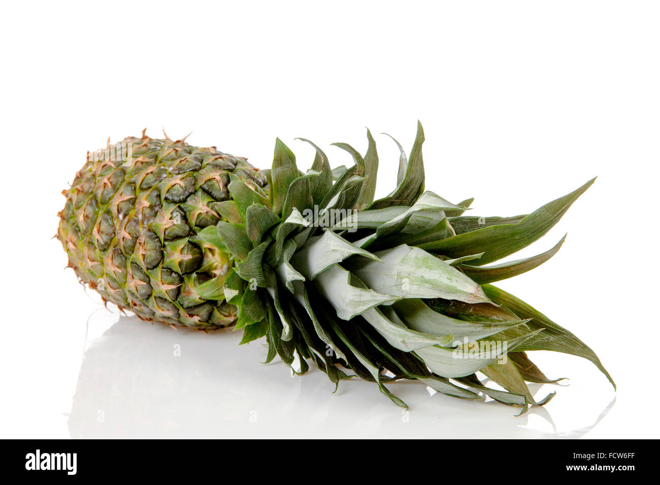Un ananas su sfondo bianco Foto Stock