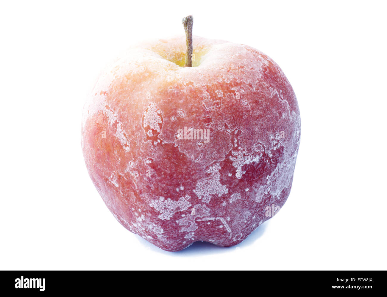 Apple coperto di brina su bianco Foto Stock