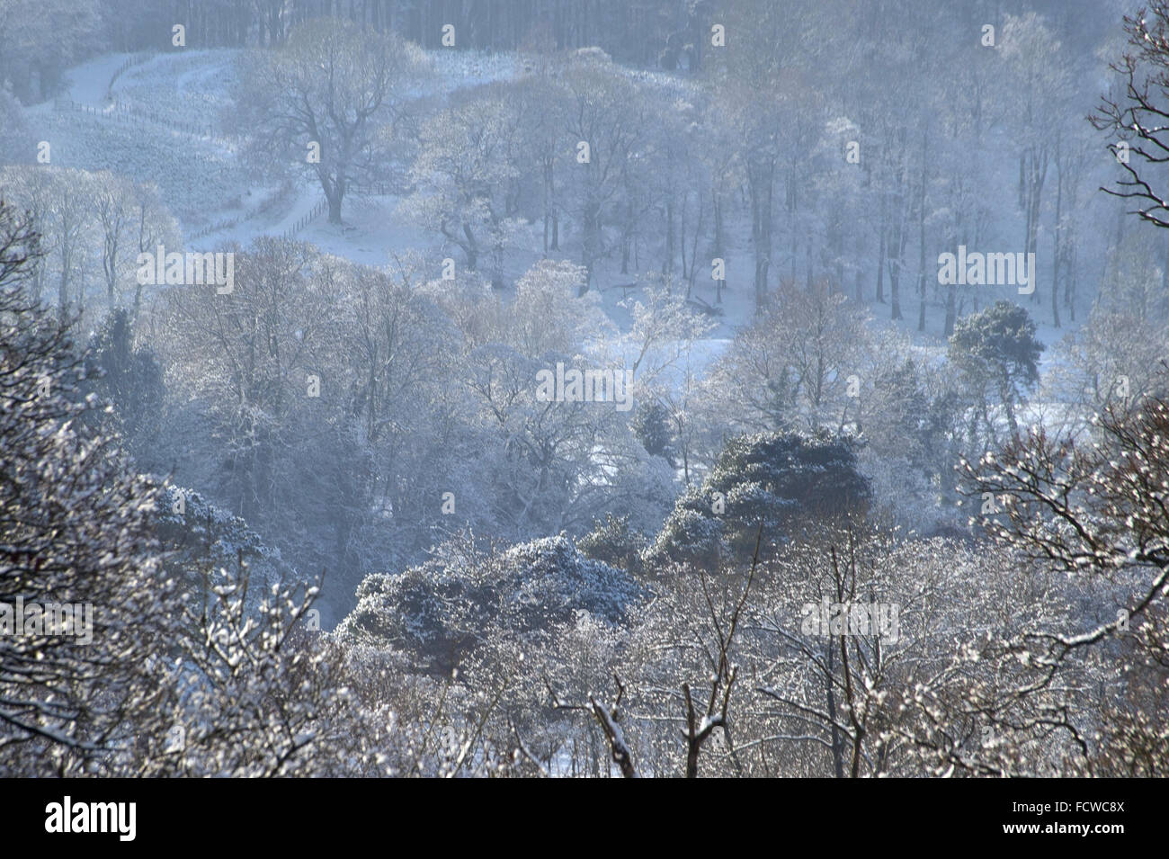 Winter Wonderland, Tyne Valley, Nortumberland Foto Stock