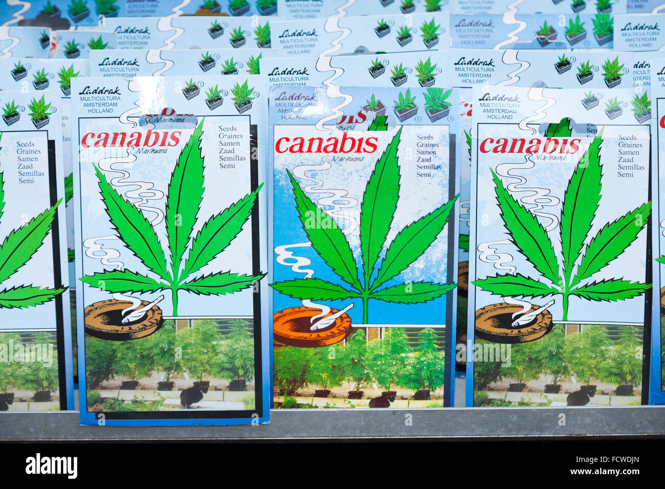 Semi di cannabis olandesi immagini e fotografie stock ad alta risoluzione -  Alamy