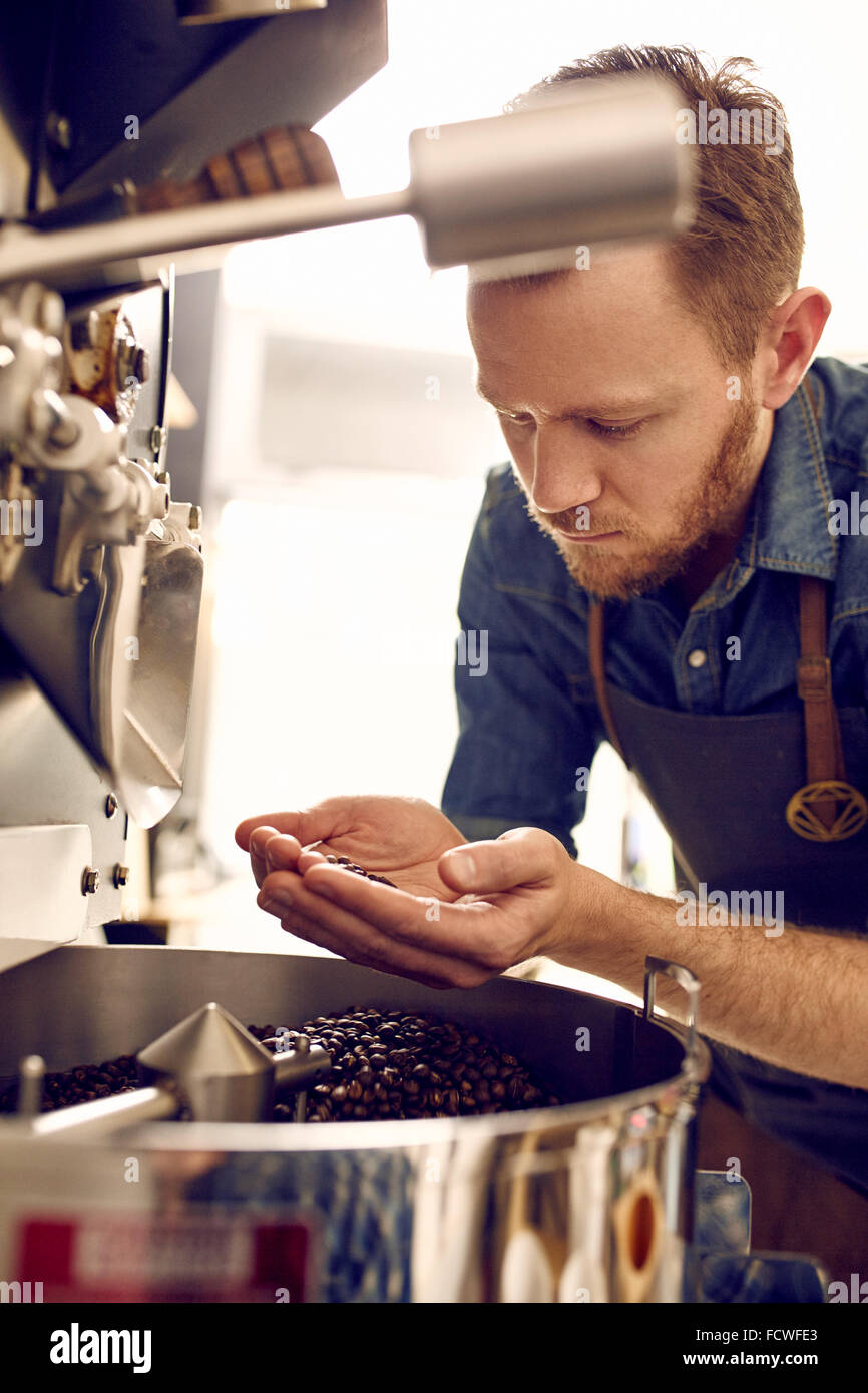 Uomo che guarda il caffè torrefatto in grani da una macchina per la tostatura Foto Stock