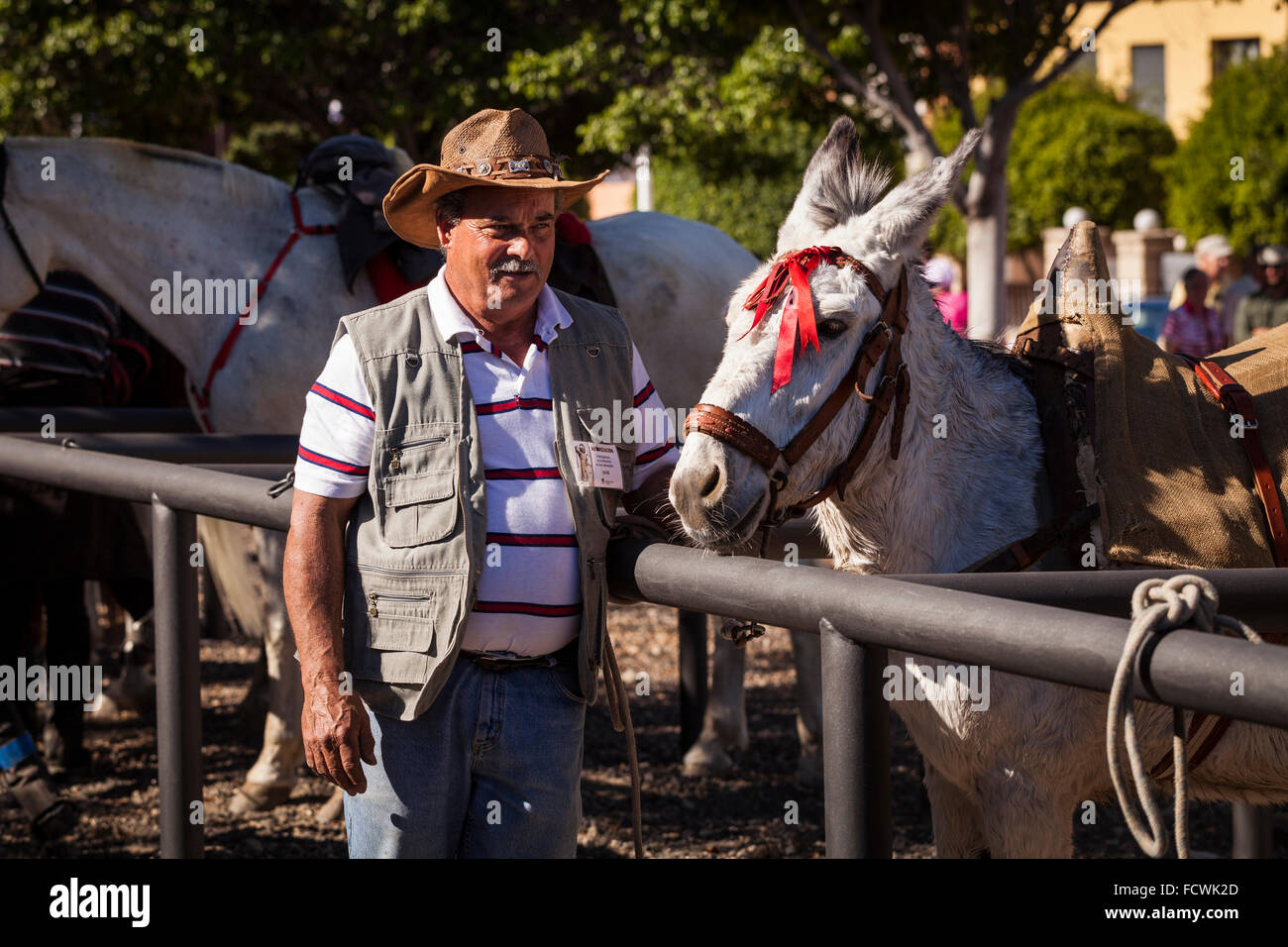 Il vecchio uomo nel cappello di paglia in posa con un mulo a San Sebastian fiesta, La Caleta, Costa Adeje, Tenerife, Isole Canarie, Spagna. Foto Stock