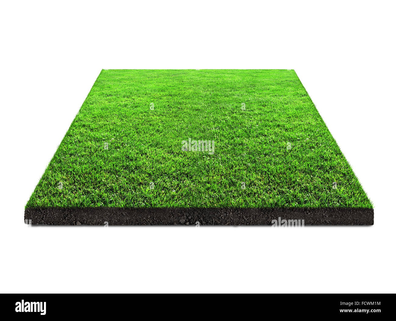 Quadrato di erba verde isolato su sfondo bianco Foto Stock