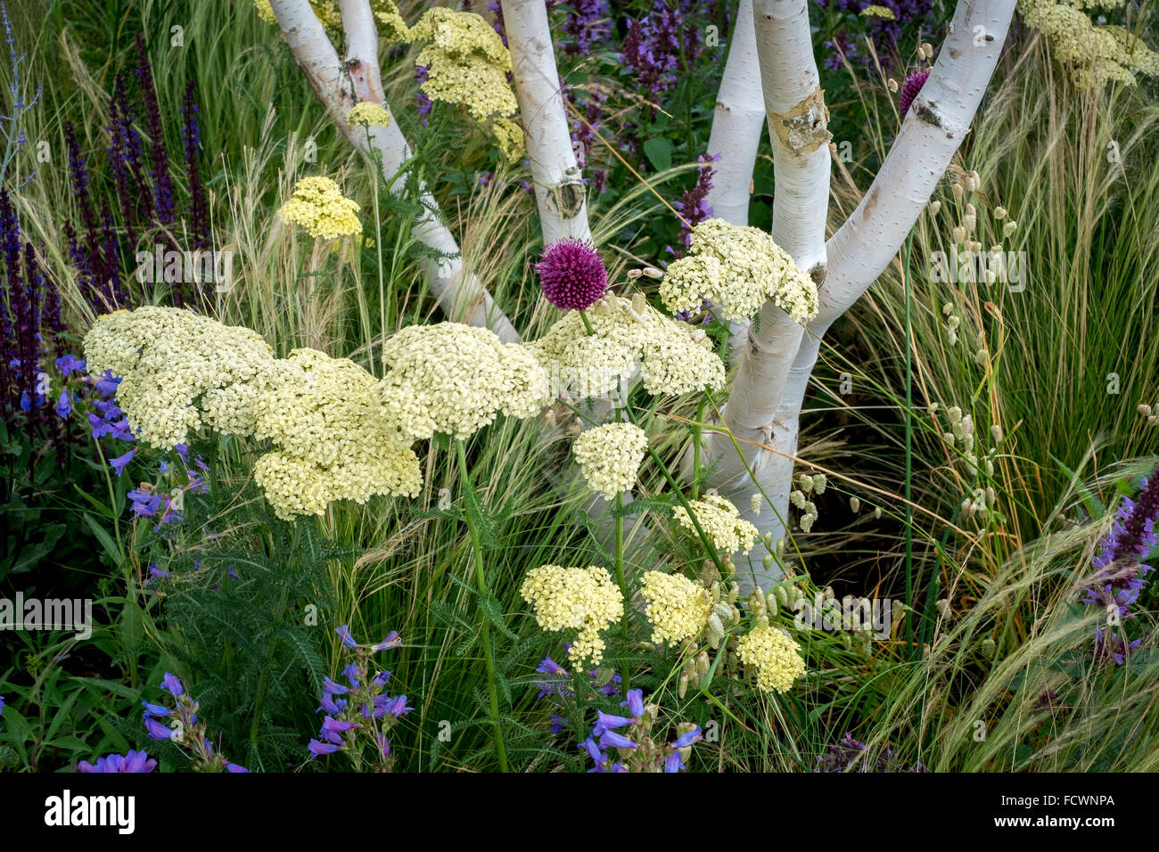 Giardino dettaglio da RHS Tatton Show 2015 Foto Stock