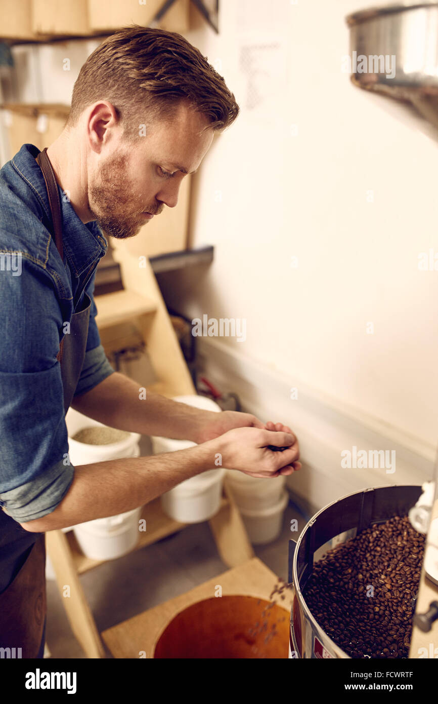 Professional con una manciata di appena il caffè torrefatto in grani Foto Stock