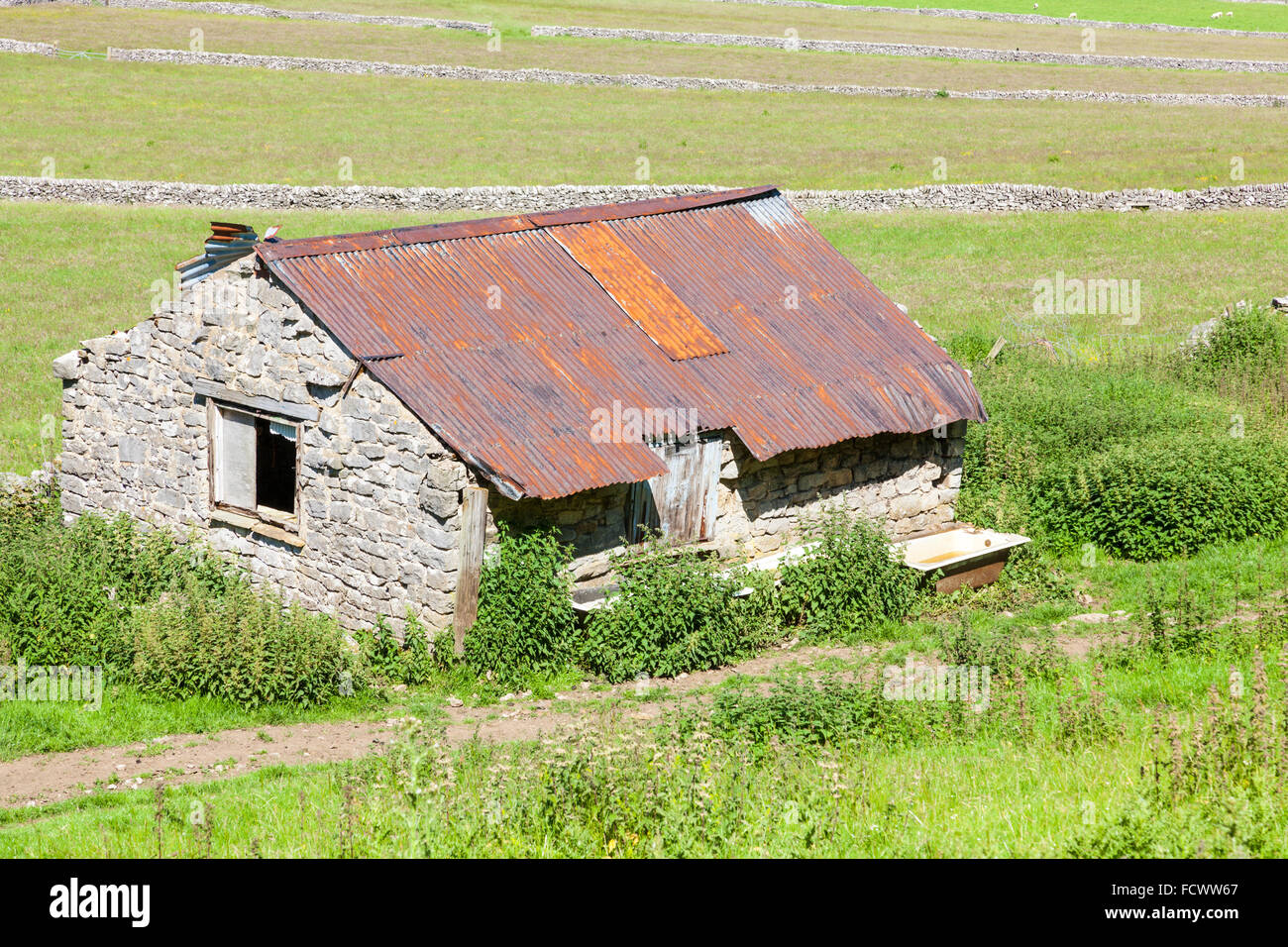Il vecchio fienile in pietra con un tetto di ruggine in un campo nei pressi di Castleton, Derbyshire, Peak District, England, Regno Unito Foto Stock