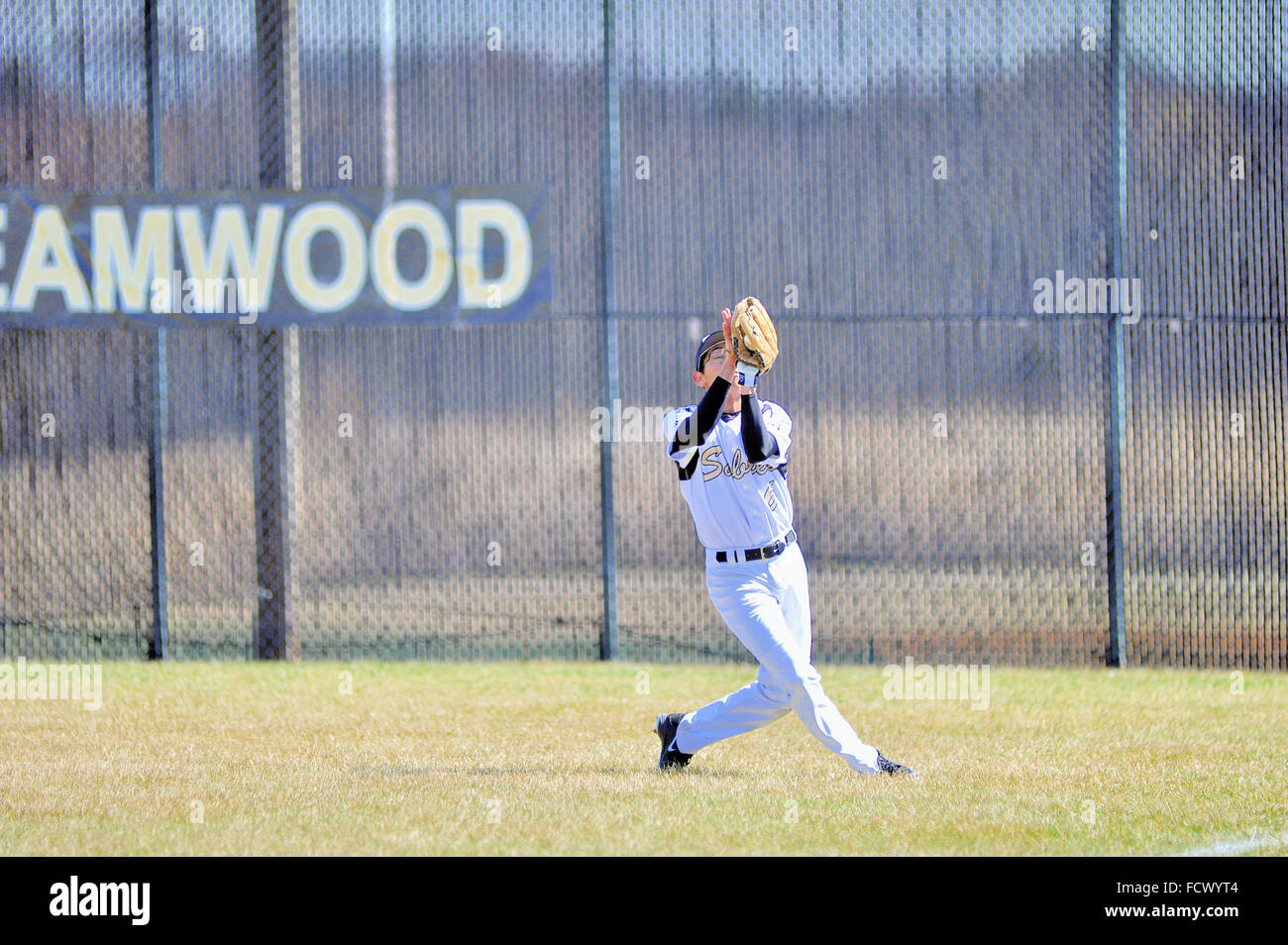 Diritto fielder facendo una cattura in esecuzione in prossimità della linea di fuoricampo durante una scuola di gioco di baseball. Stati Uniti d'America. Foto Stock